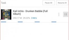 Youtube视频下载器,使用YouTube视频下载器轻松获取热门内容