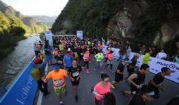 马孔多,魔幻现实主义的瑰宝与拉丁美洲的缩影